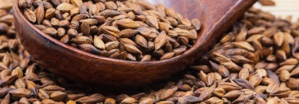 泡好的大麦茶可以放保温桶吗