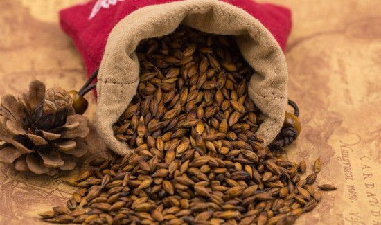 女性喝大麦茶的好处