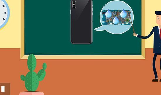 手机掉水里怎么办