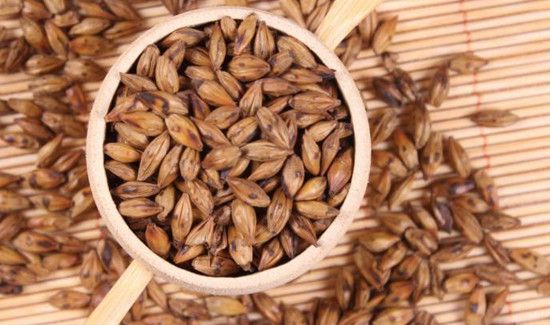 大麦茶泡多少水