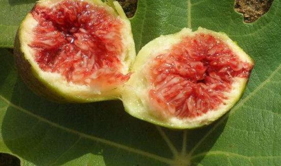 孕妇一天吃几个无花果