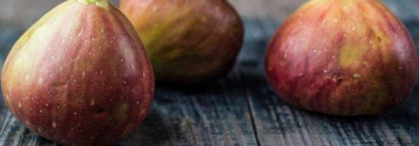 女人吃无花果的好处