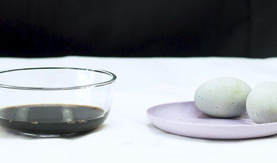 皮蛋不能和什么一起吃