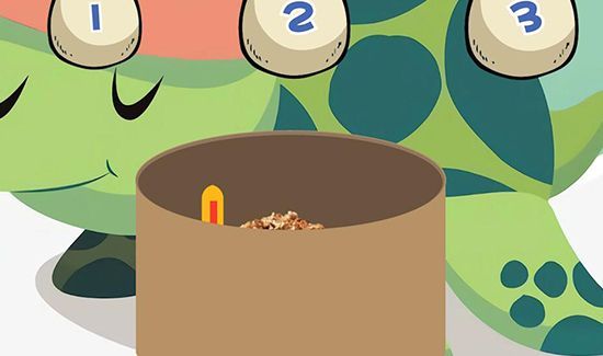 乌龟蛋怎么孵化