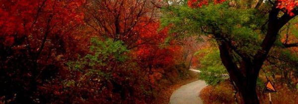 香山公园门票多少钱