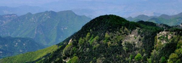 泰山能看到日出吗