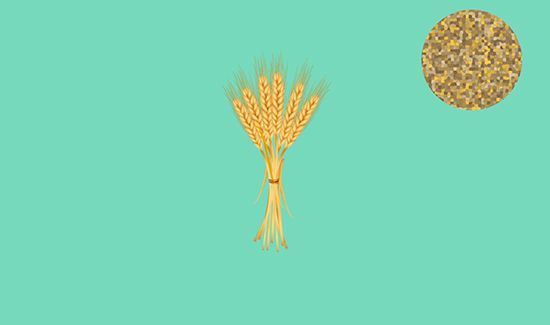 高纤维食物有哪些