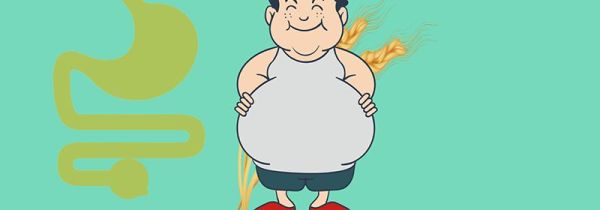 高纤维食物有哪些