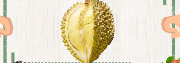 榴莲怎么开