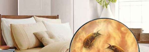 生活除螨的方法