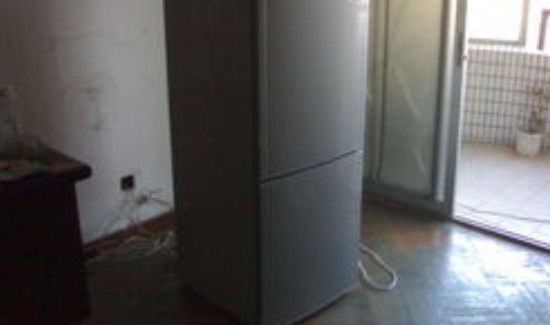 西门子冰箱异常声响