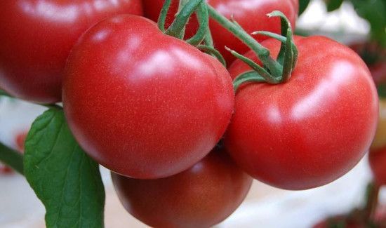 夏天消暑吃什么水果