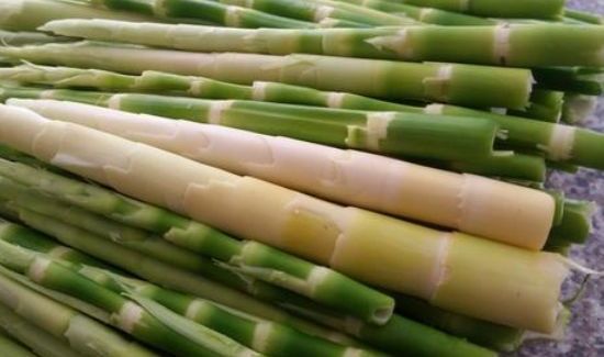 竹笋为什么煮后变黄