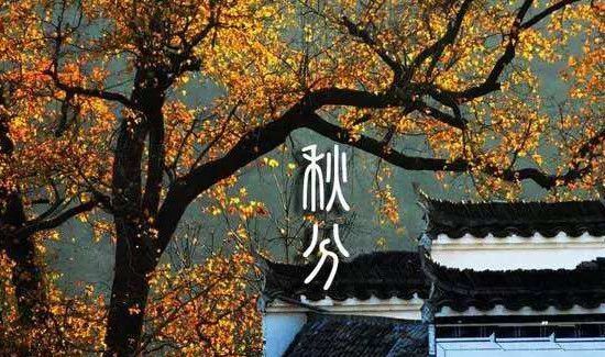 秋分是什么季节