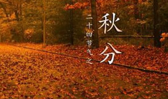 秋分是什么季节