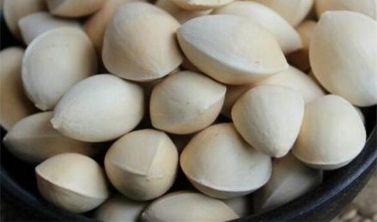 白果和银杏果一样吗