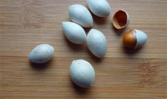 白果冷冻要剥皮吗