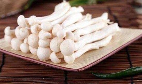 白玉菇炒完苦还能吃吗