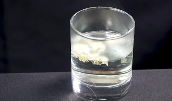 十大排毒养颜花茶