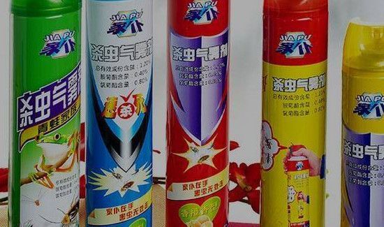 杀虫剂能杀跳蚤吗