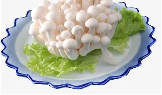 白雪菇的禁忌