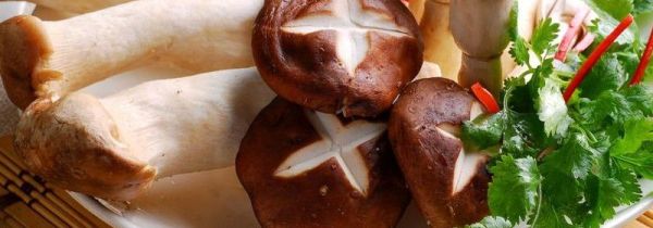 杏鲍菇和香菇能一起吃吗