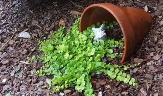 破碎的花盆属于什么垃圾