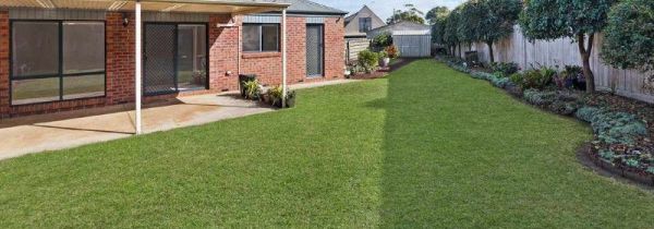 leslie象征着什么意义