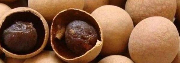 桂圆皮的功效与作用及食用方法