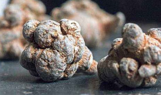 三七根须的正确吃法