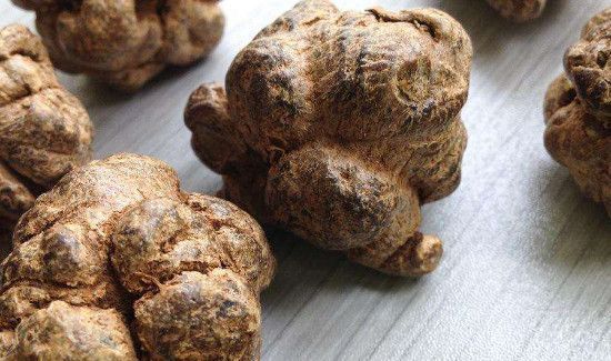 三七和人参能一起吃吗