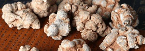 三七和人参能一起吃吗