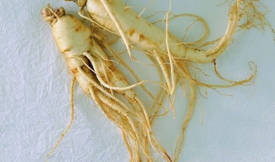 三七和人参能一起吃吗