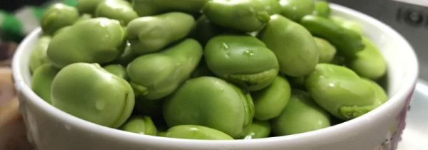 一人一天能吃多少蚕豆