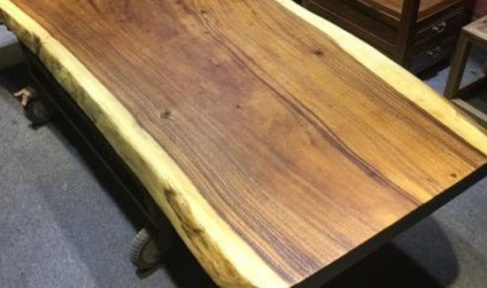 东北琥珀木的危害