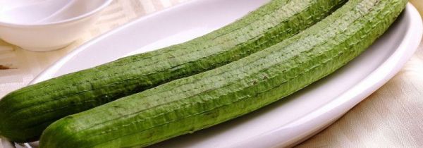 丝瓜发黑的原因