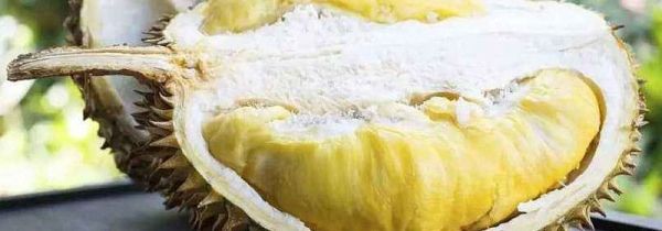 榴莲和哈密瓜能一起吃吗