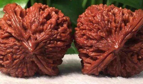 核桃尖摔掉了怎么办