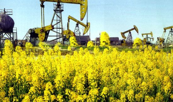 江汉油田是第几大油田