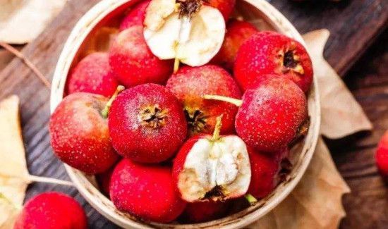 海茸跟什么不能一起吃