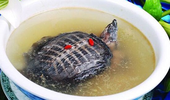 甲鱼和螃蟹能一起吃吗?