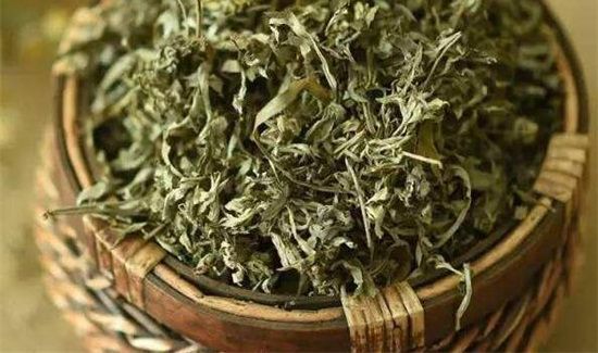 艾叶洗澡的禁忌