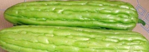 苦瓜和鸡肉能一起吃吗