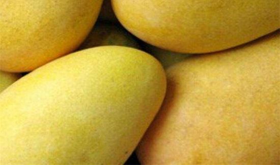 芒果皮可以吃吗