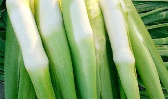 茭白和胡萝卜能一起吃吗