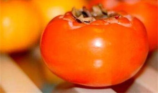 药可以和柿子能一起吃吗?