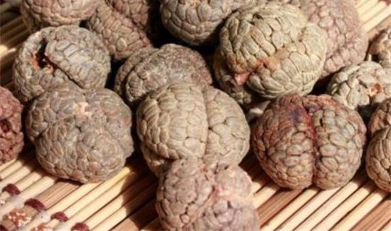 草蔻与肉蔻的区别