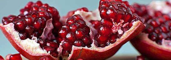 石榴能不能和鱼一起吃