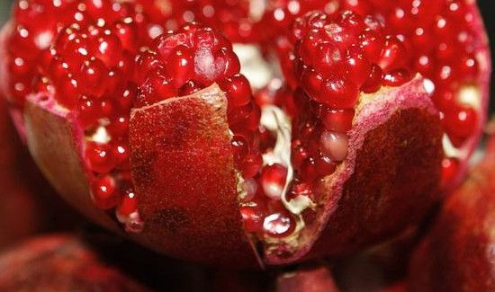 石榴能不能和鱼一起吃