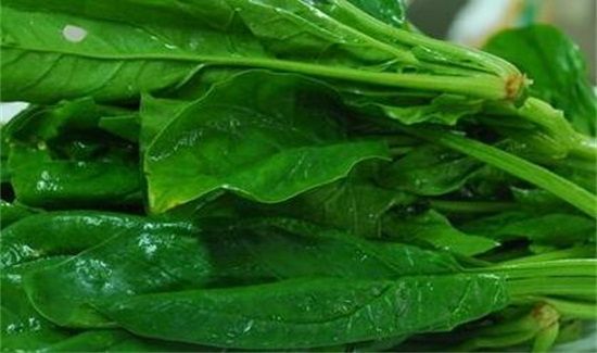 菠菜和紫菜能一起吃吗